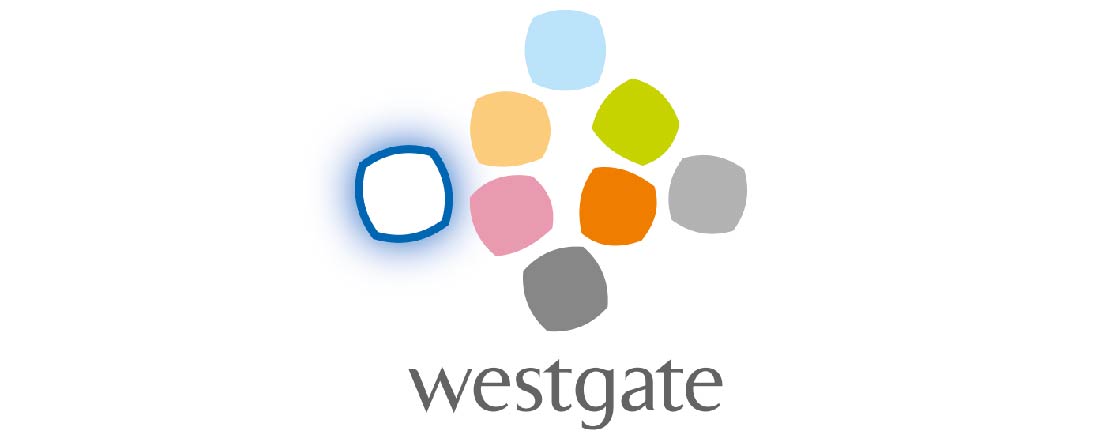 Wg Logo White Background